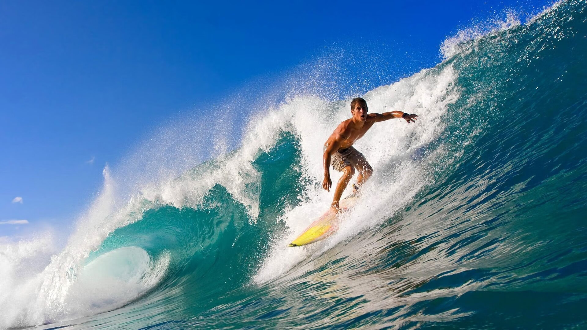 “2025世界运动会：高新体育中心健力赛场，选手力量与技术的结合”