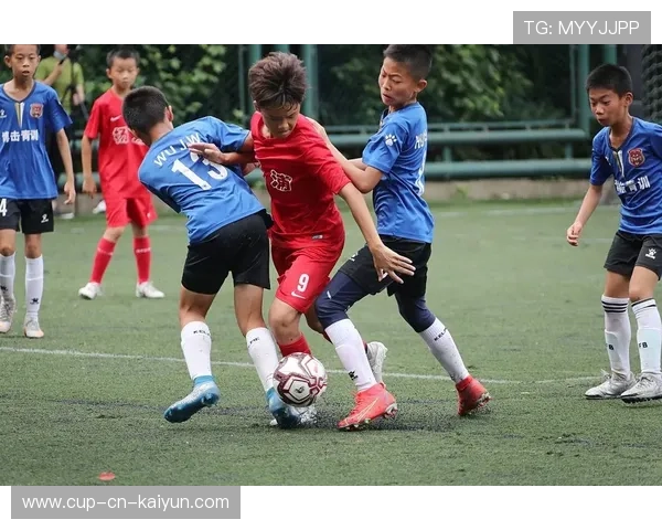 琑队如何建立青训资源共享与评估平台，什么叫青训队