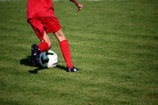 开云体育官网上-篮球运动员心理韧性提升及干预体系建设，篮球运动员的心理训练