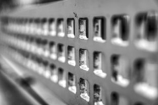 开云体育官网在线-高校运动训练科学管理模式创新实践，运动训练科研管理工作要求